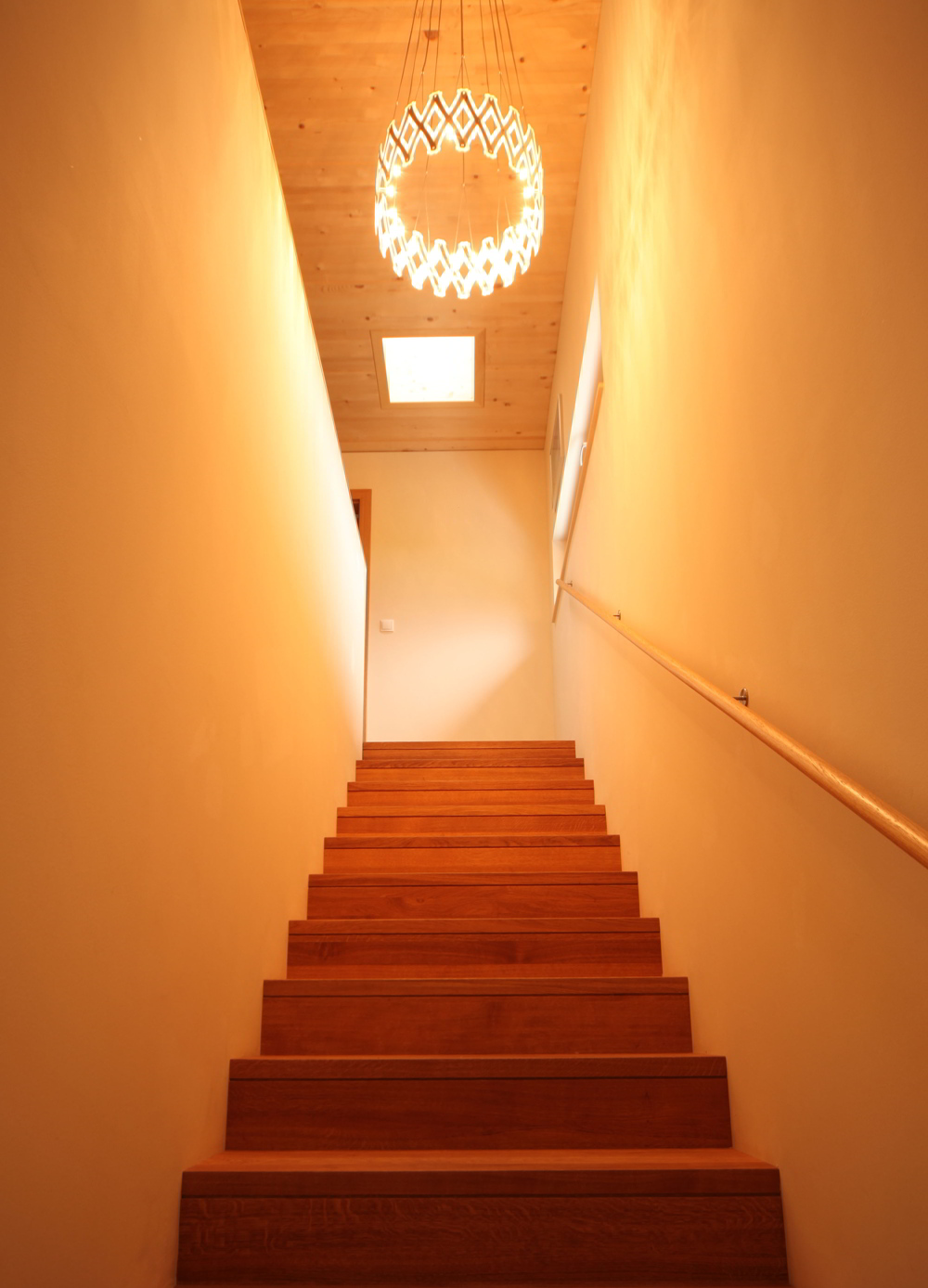 IMG-1243-Kopie
