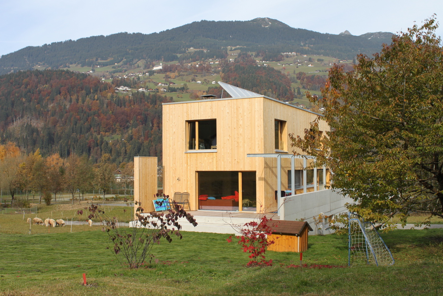 IMG-6559